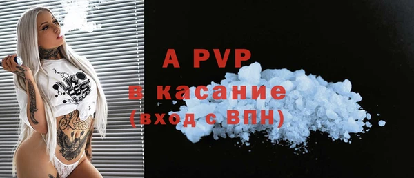 PSILOCYBIN Белокуриха