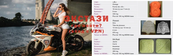 PSILOCYBIN Белокуриха