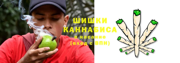 дживик Беломорск