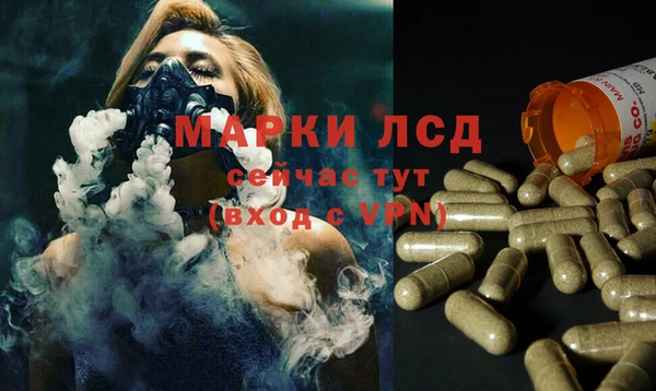 PSILOCYBIN Белокуриха
