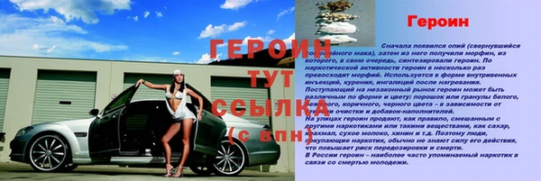 PSILOCYBIN Белокуриха