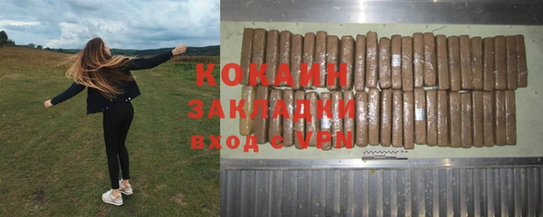 PSILOCYBIN Белокуриха